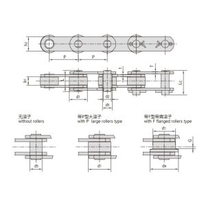 Αλυσίδα μεταφοράς σειράς z
